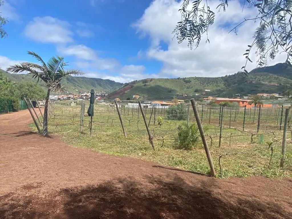 Casita entre Viñedos, Experiencia Rural, Ideal niños. Tegueste España
