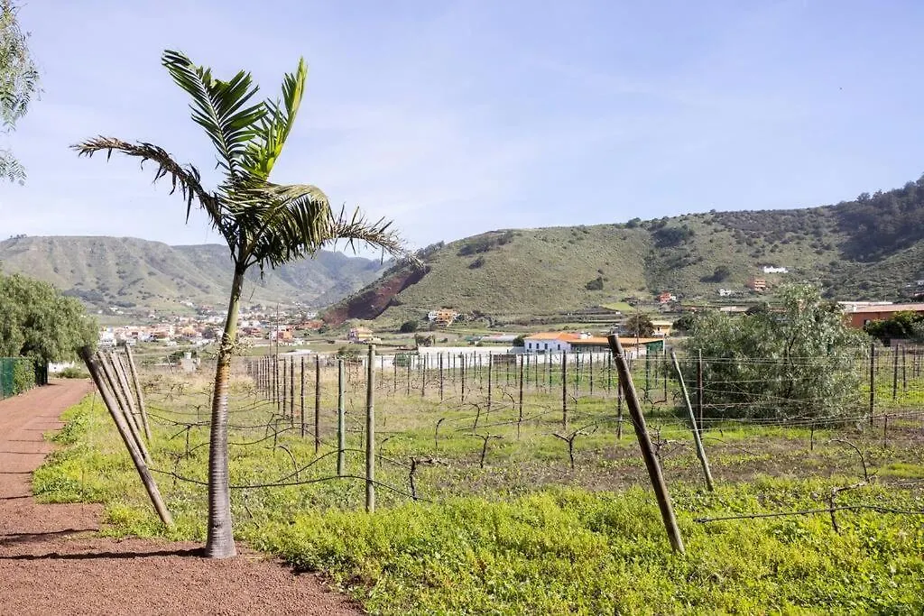 Casita Entre Vinedos, Experiencia Rural, Ideal Ninos. Tegueste Holiday home