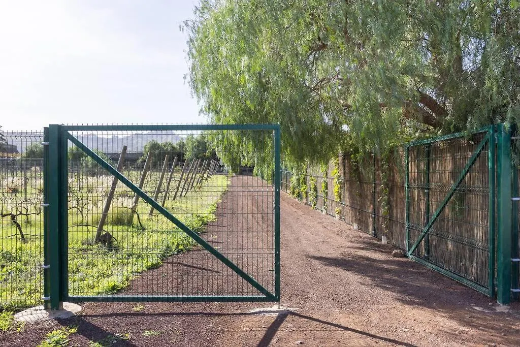 Сasa de vacaciones Casita entre Viñedos, Experiencia Rural, Ideal niños. Tegueste España